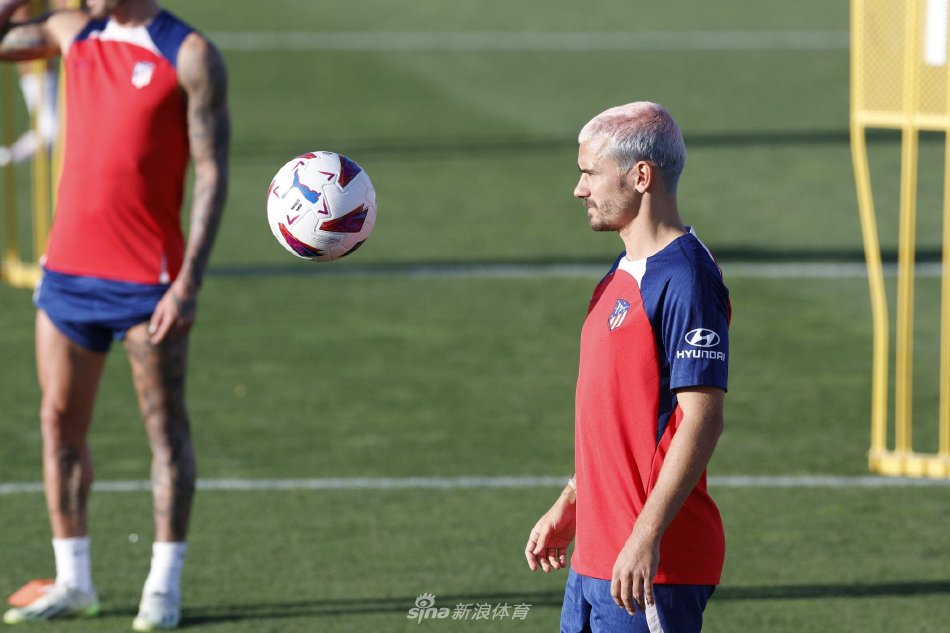 我们可以预 我们可以预